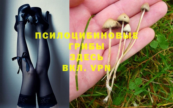 ГАЛЛЮЦИНОГЕННЫЕ ГРИБЫ Волосово