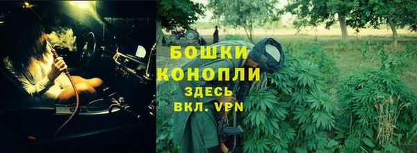 метадон Горняк