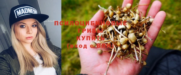ALPHA-PVP Горно-Алтайск